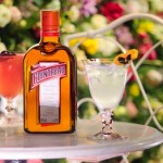 Confira como fazer drinks fáceis e rápidos com Cointreau