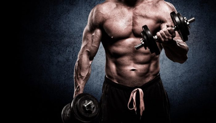 6 Melhores Whey Protein para suplementar seu treino