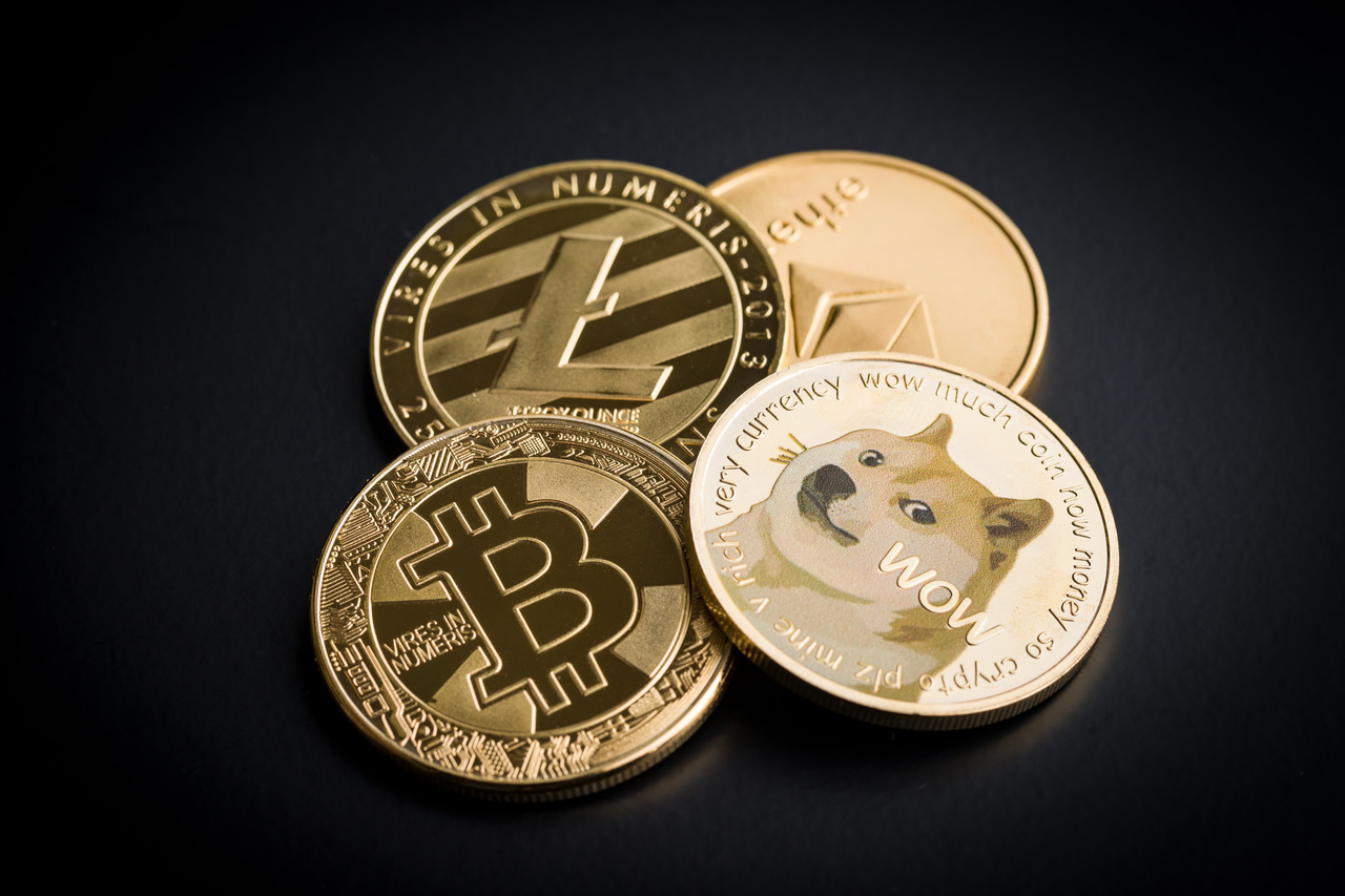 dog coins to bitcoins wiki